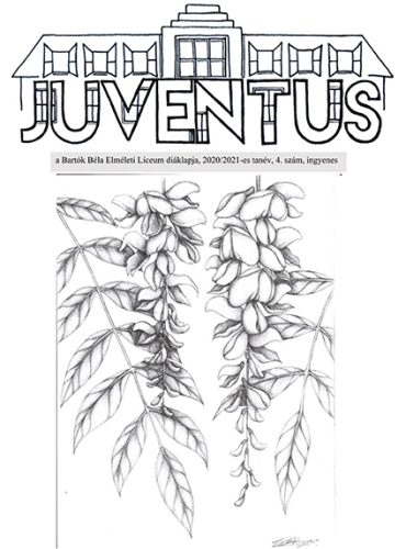 Juventus_2020-2021_4