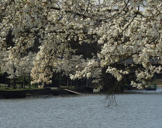 Endre Károly: Felleg a folyó fölött