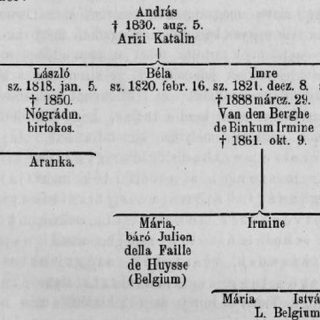 Pálkovács István: A dettai Timáry család - Temesváros
